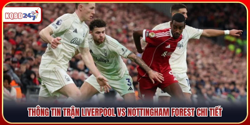 Cập nhật thông tin toàn diện về cuộc đối đầu Liverpool vs Nottingham